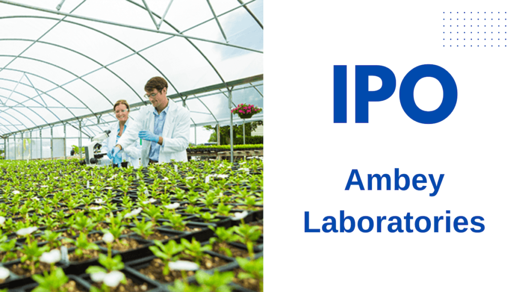 Ambey Laboratories IPO